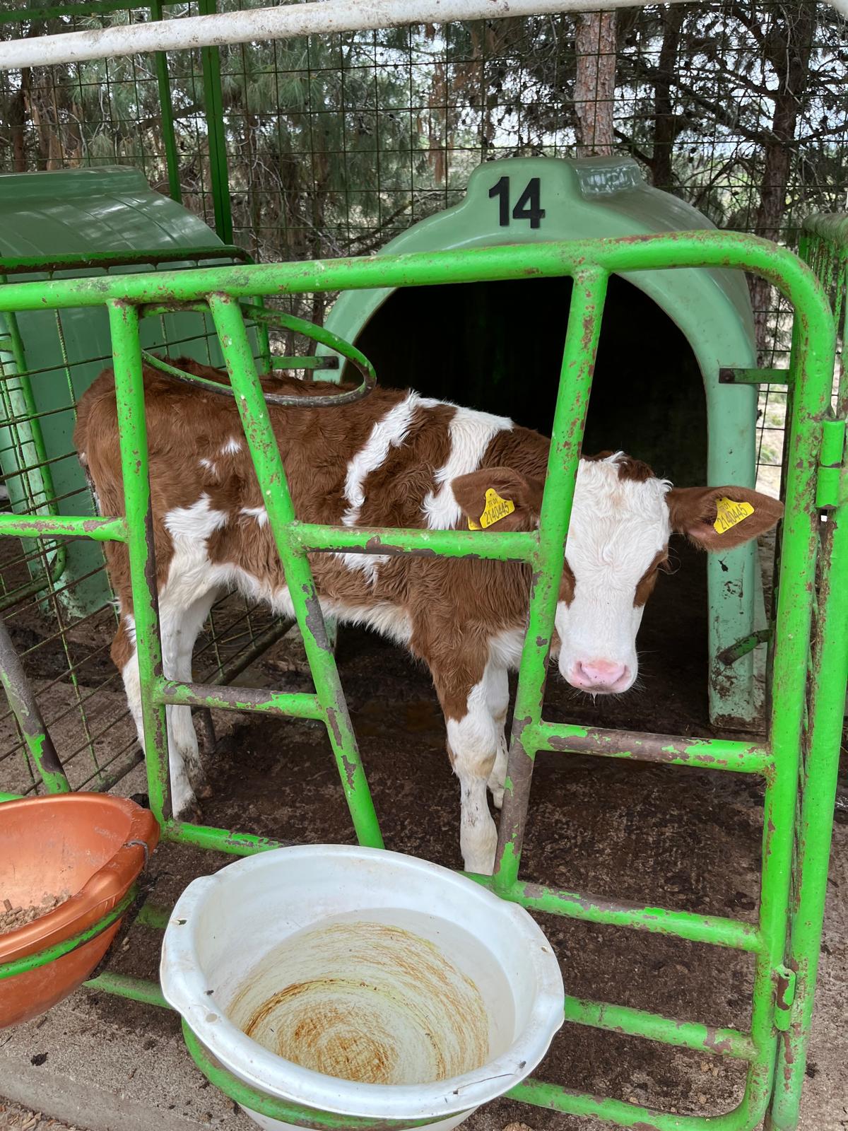 WhatsApp Image 2025-08-25 at 13.25.38 (2)