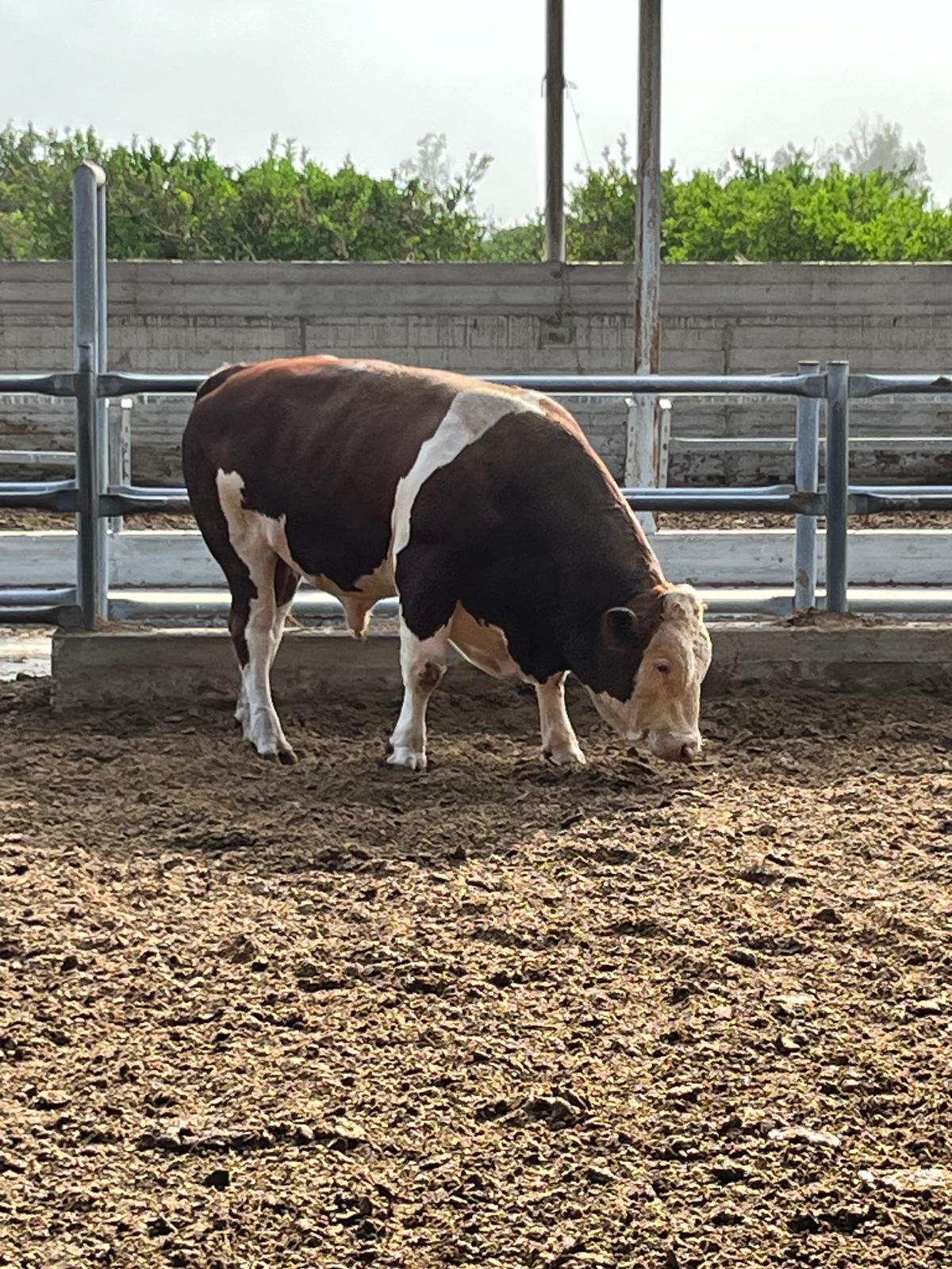 WhatsApp Image 2025-08-25 at 13.25.38 (5)