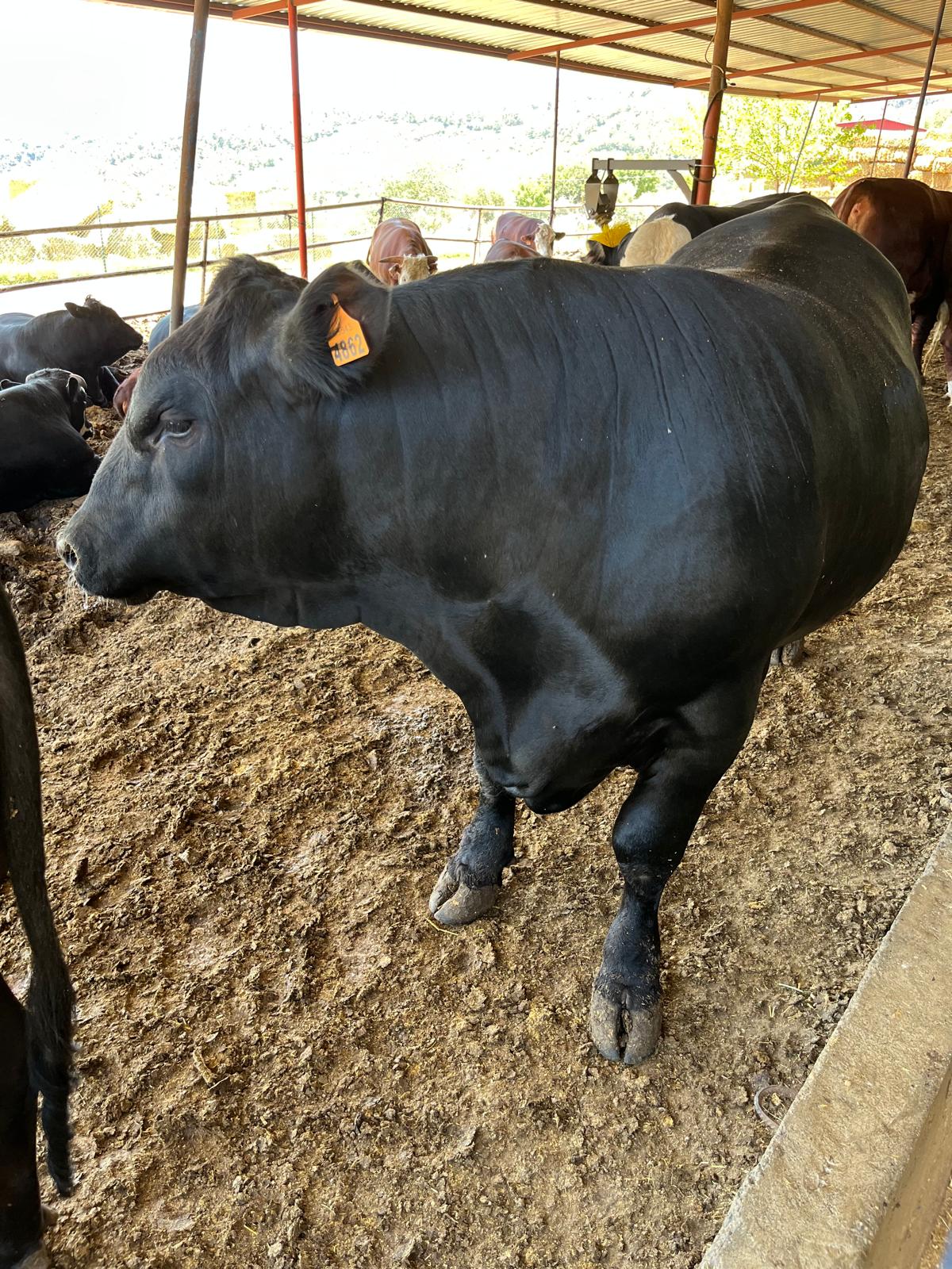 WhatsApp Image 2025-08-25 at 13.25.39 (5)