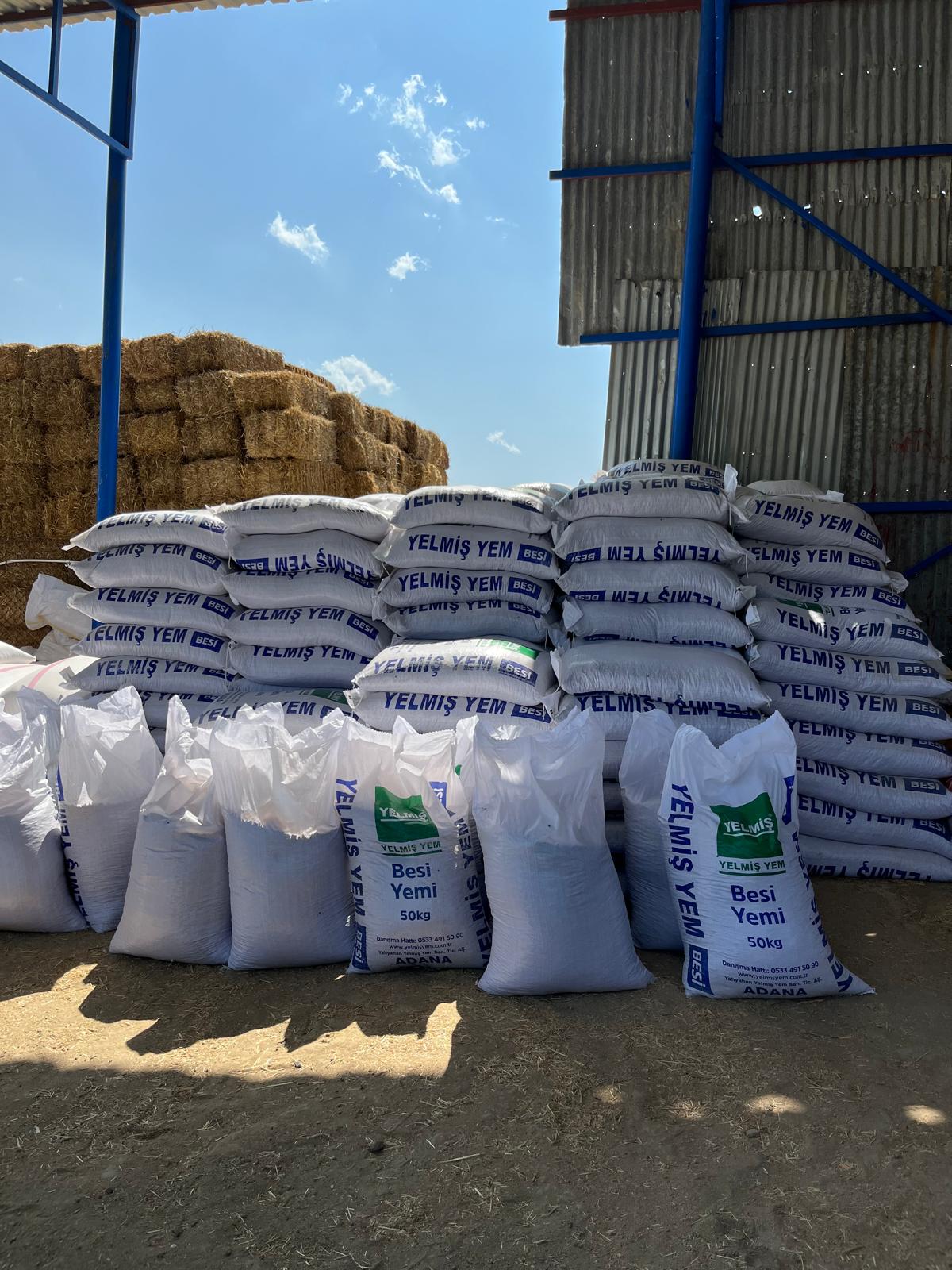 WhatsApp Image 2025-08-25 at 15.55.08 (2)