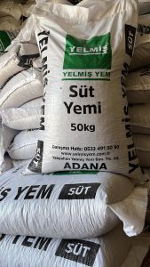 WhatsApp Image 2025-08-27 at 23.27.54