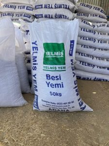 WhatsApp Image 2025-08-27 at 23.28.53