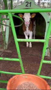 WhatsApp Image 2025-08-28 at 10.43.01